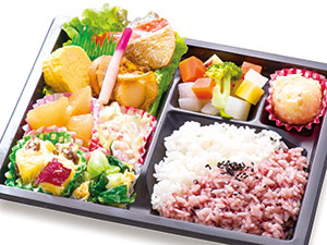 日替わり健康バランス弁当