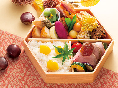 日替わり健康バランス弁当
