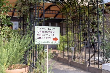ハーブのお庭の写真