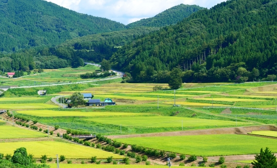 山間の豊かな自然