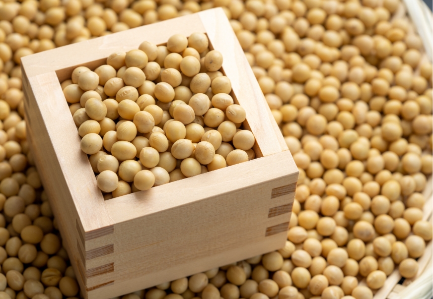 素材を厳選 「まめのパワー」を頂く