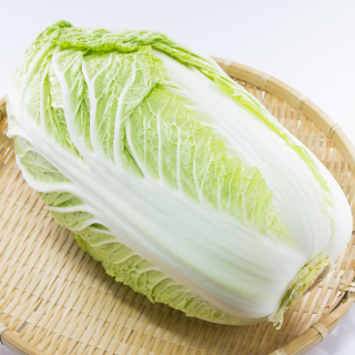 白菜